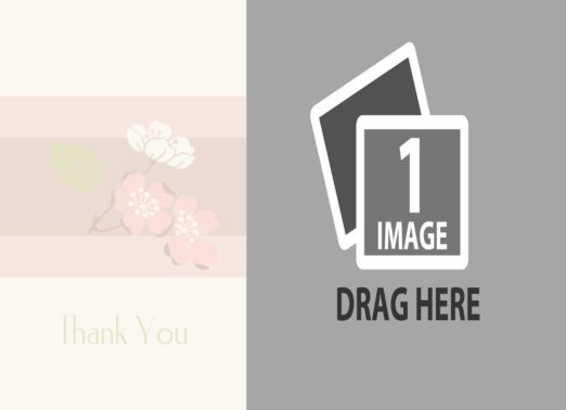 vjs-palepink-10.png