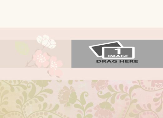 vjs-palepink-06.png
