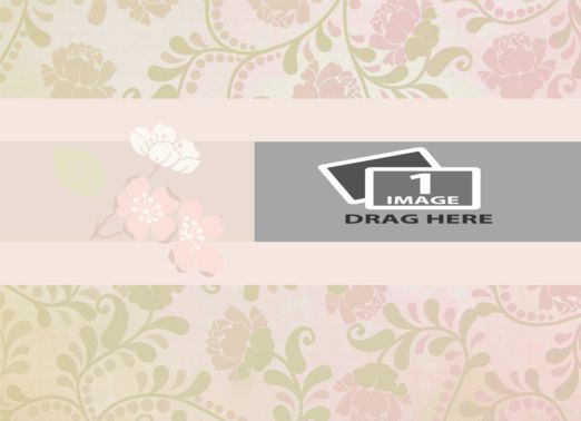 vjs-palepink-04.png
