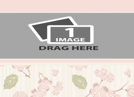 vjs-pinkfloral-07.png