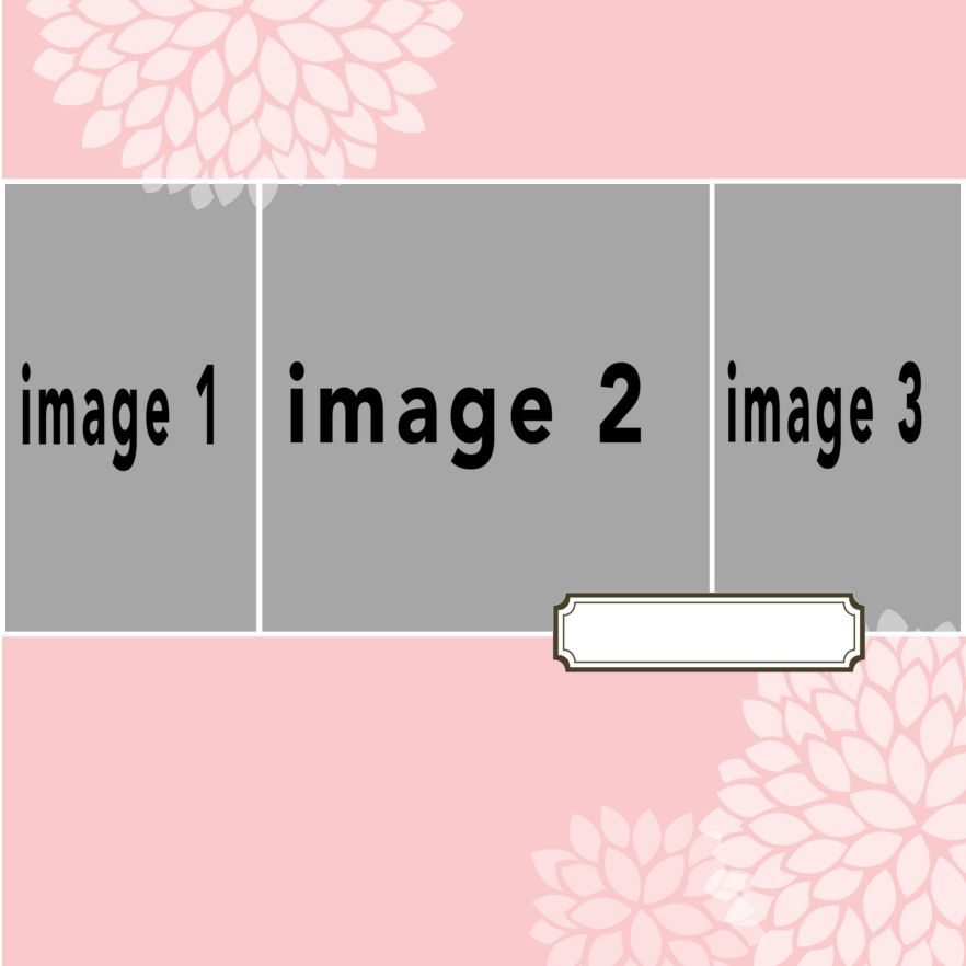PinkDahlia #17