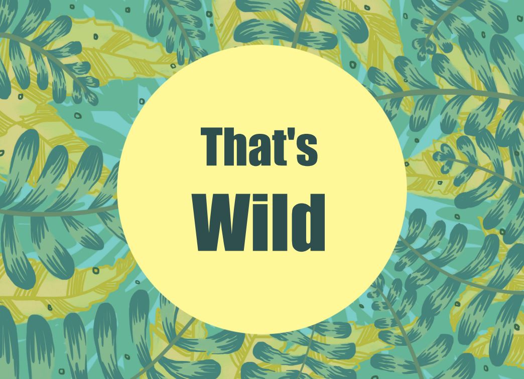 Jungle Thanks Landscape Template