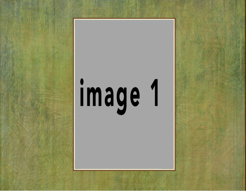 nature-1 #18