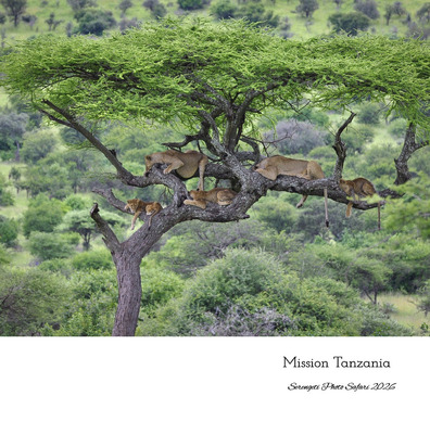 2026 Serengeti Photo Book