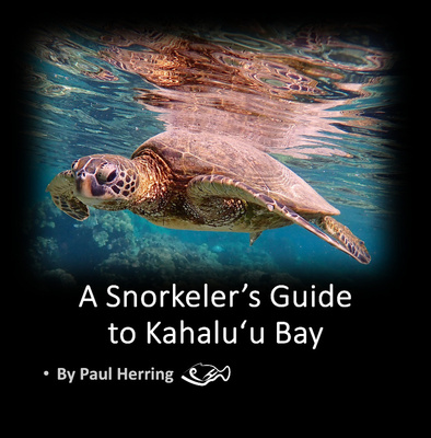 Kahaluu Guide Square