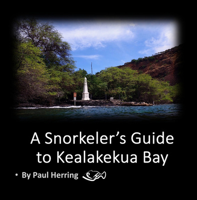 Kealakekua 8x8 spiral v2d