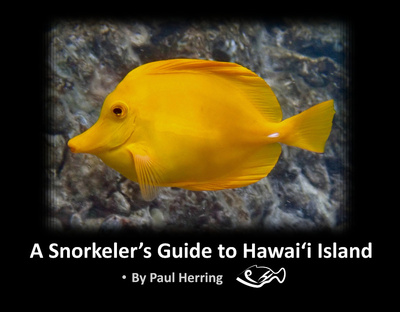 Hawaii Island Snorkel Guide v2