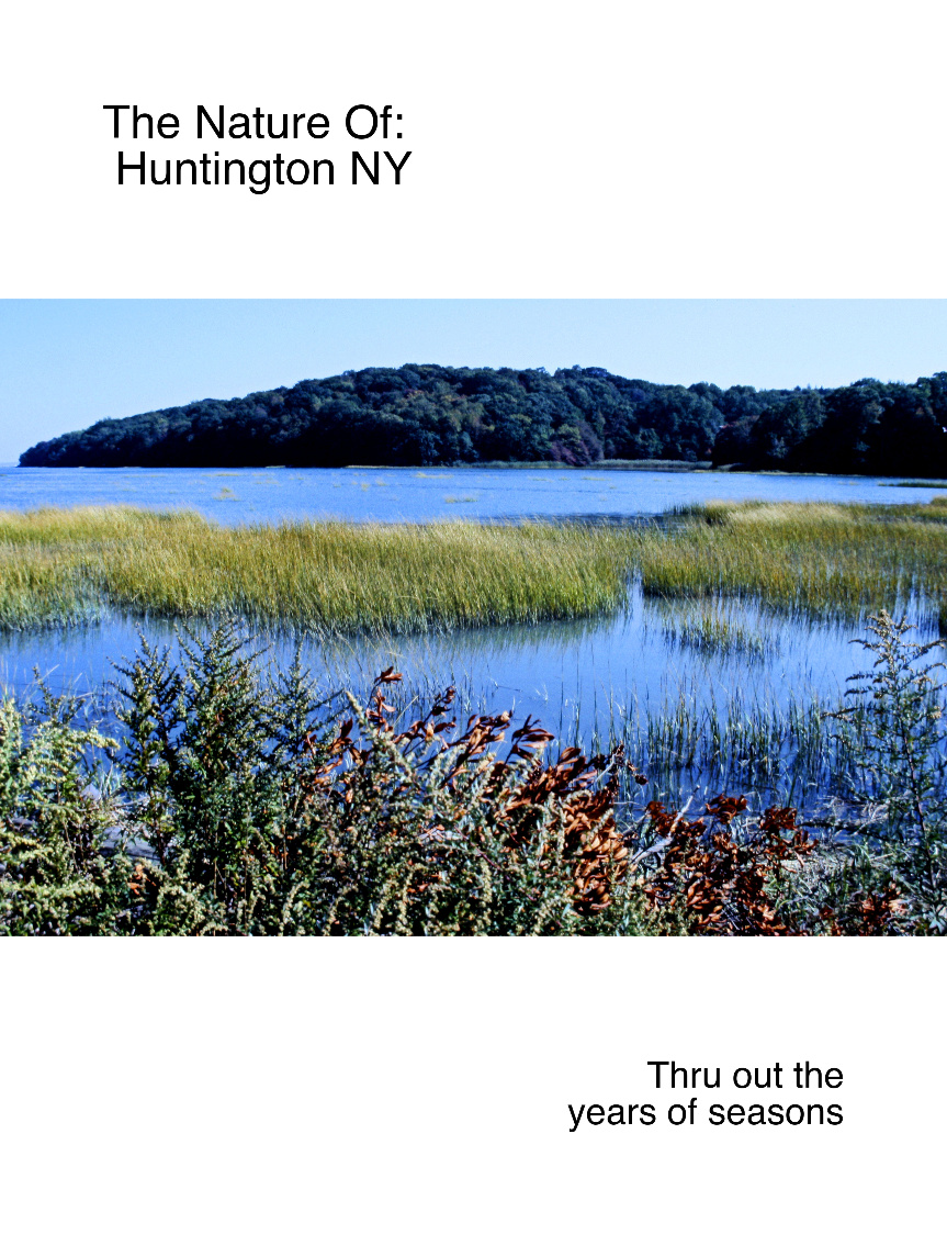 The Nature Of Huntington NY