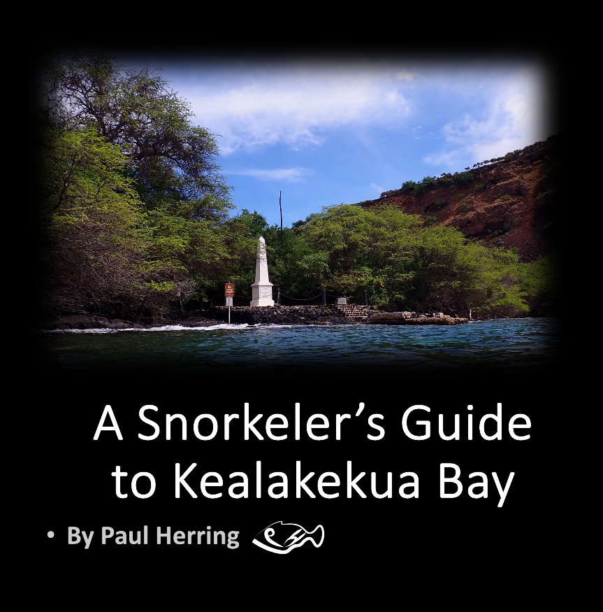 Kealakekua 8x8 spiral v2d