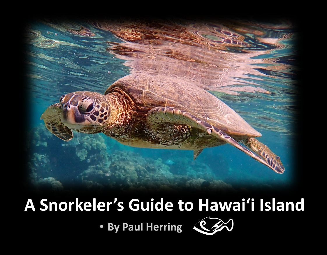 Hawaii Island Snorkel Guide v1