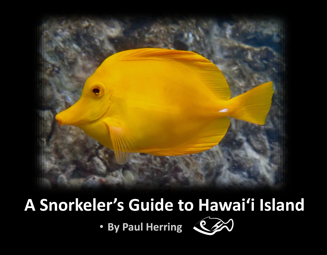 Hawaii Island Snorkel Guide v2