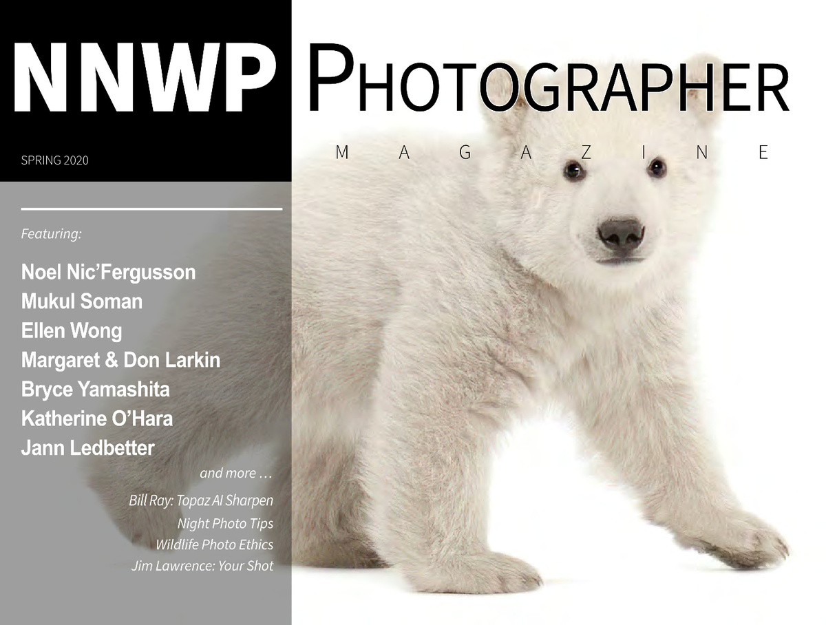 NNWP Photographer | Spring 2020