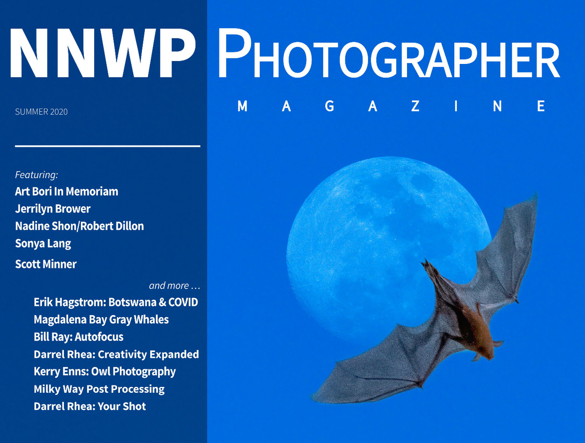 NNWP Photographer | Summer 2020