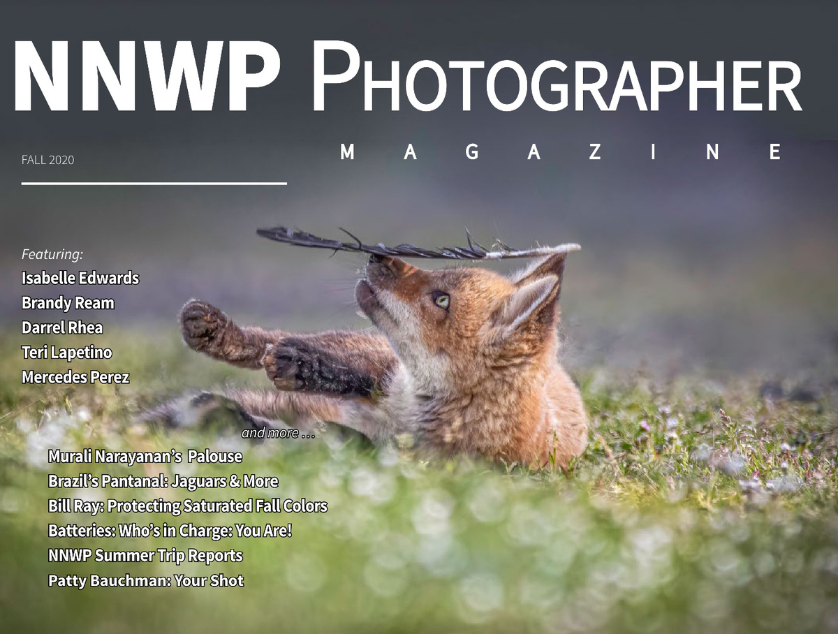 NNWP Photographer | Fall, 2020
