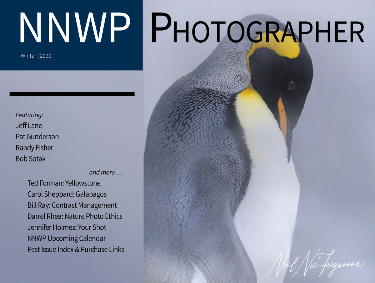 NNWP Photographer | Winter, 2020