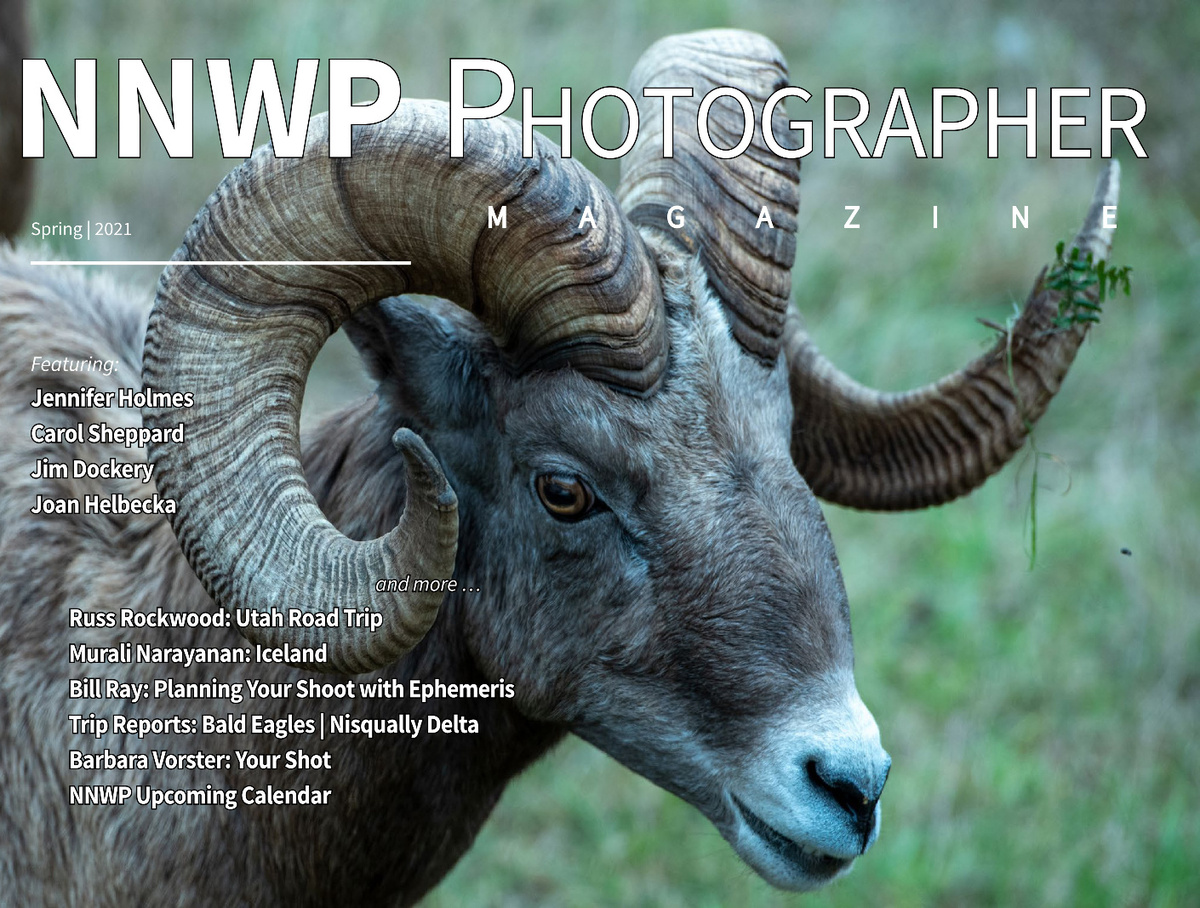 NNWP Photographer | Spring 2021