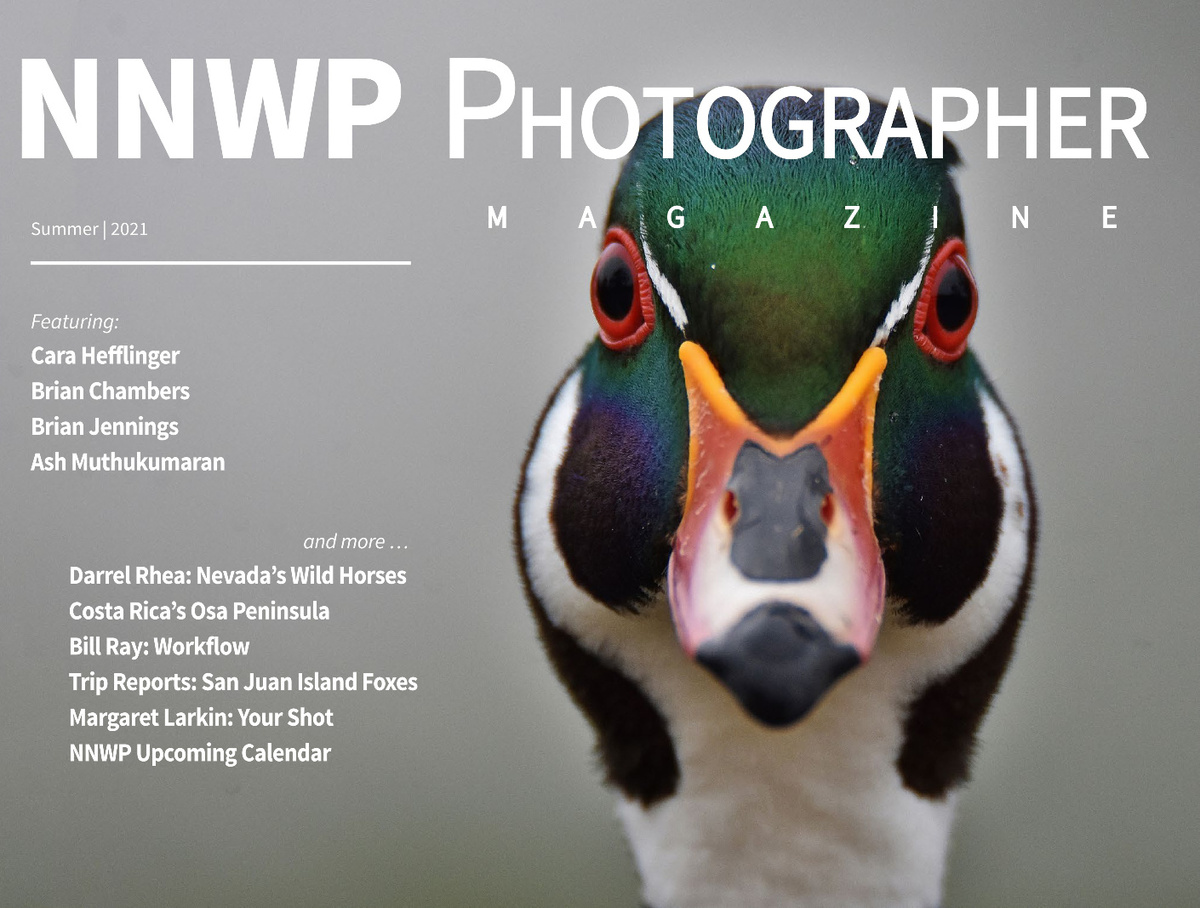 NNWP Photographer | Summer 2021