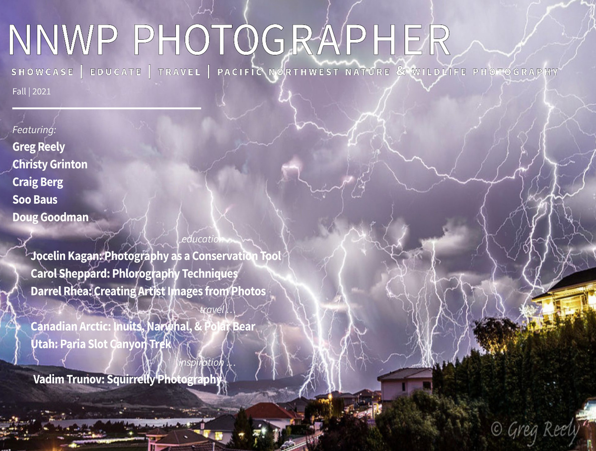 Photo Book NNWP Photographer | Fall 2021