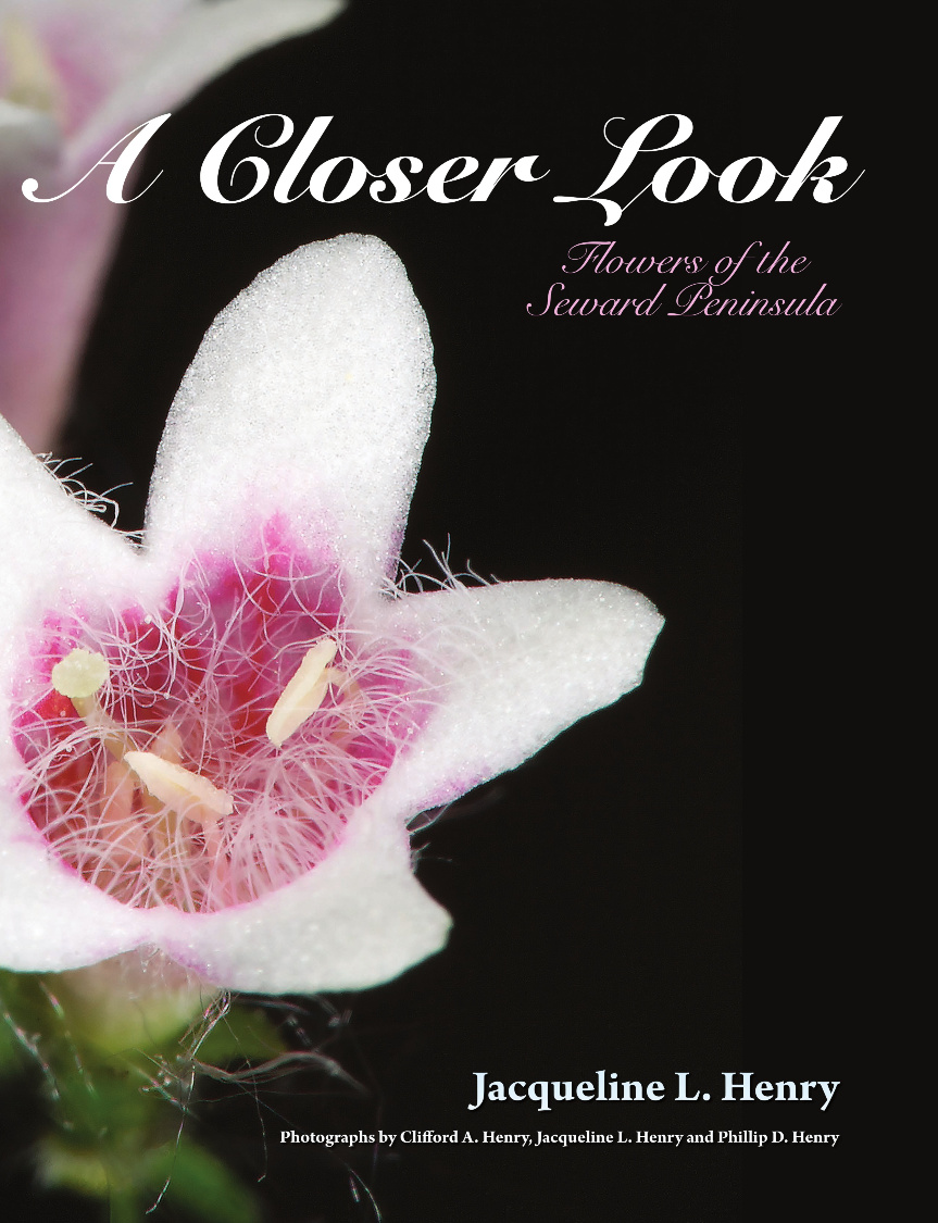 A Closer Look: Flowers of the Seward Peninsula