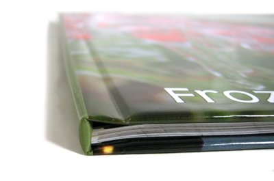 Product Photo
